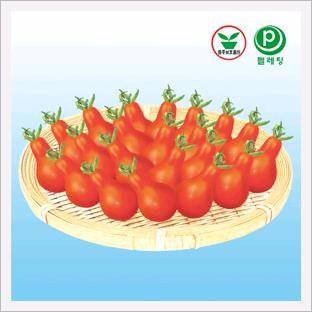 Tomato, Red Jorong  Made in Korea